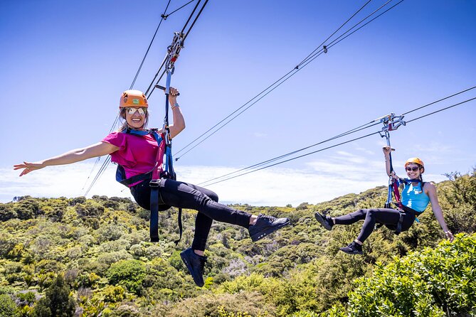 Waiheke Island Day Tour: Ziplining, Wine Tasting & Vineyard Lunch - Key points to know before booking