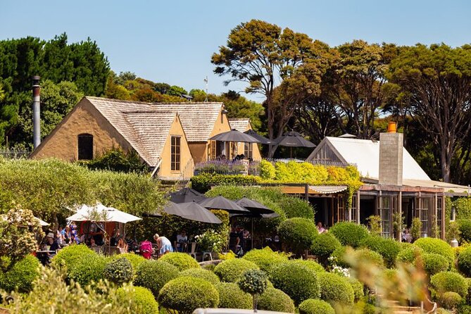 Waiheke Island Day Tour: Ziplining, Wine Tasting & Vineyard Lunch - EcoZip’s three flights over the forest