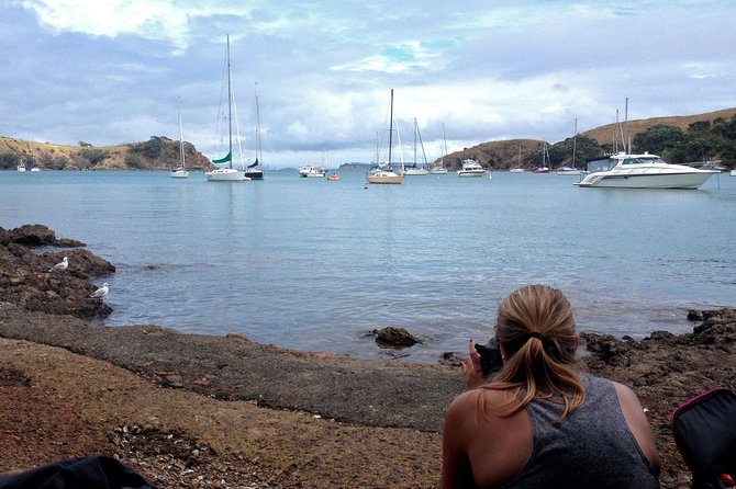 Waiheke Island Double Headland Coastal Walk - How personal is the small-group experience?