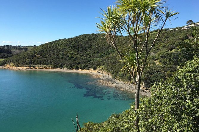 Waiheke Island Double Headland Coastal Walk - Returning to the ferry terminal