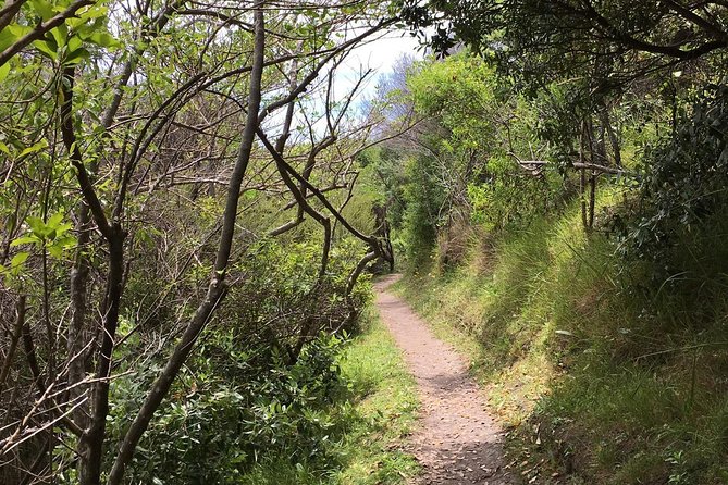 Waiheke Island Double Headland Coastal Walk - Walking the Matiatia and Church Bay headlands