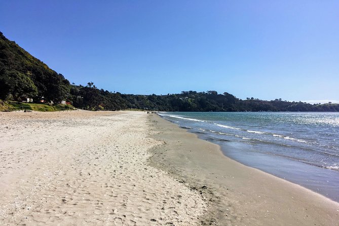 Waiheke Island Experience Tour - What Steve and Onny add to the day