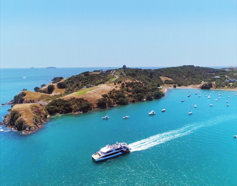 Waiheke Island: Ferry & Hop-On Hop-Off Explorer Bus Tickets - What $59 gets you, and what it does not