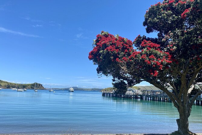 Waiheke Island Gourmet Food and Wine Tour - Meeting your guide at Matiatia Wharf