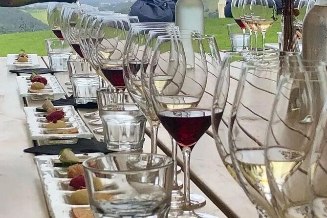 Waiheke Island Gourmet Food and Wine Tour - Food requirements and tasting limits