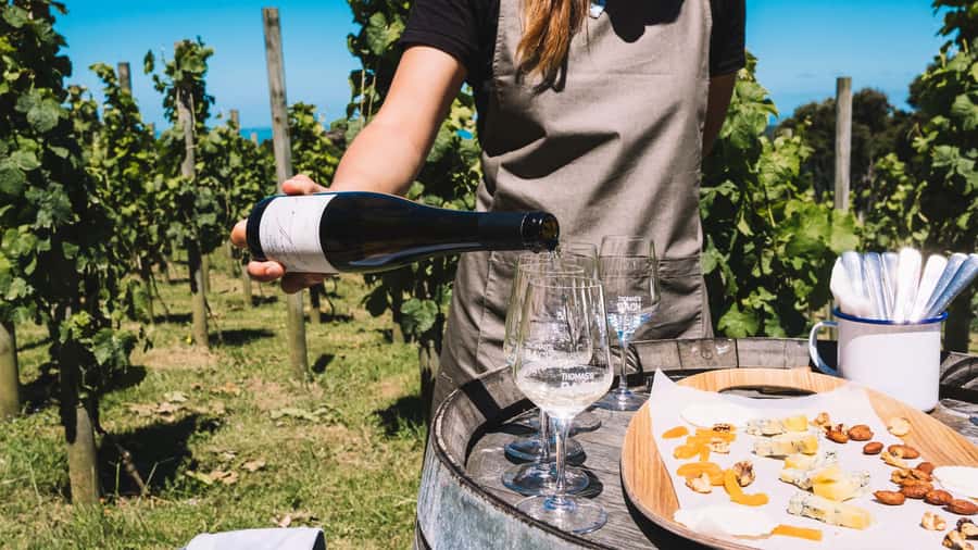 Waiheke Island Gourmet Food and Wine Tour with Platter Lunch - Should you book the Waiheke food and wine tour?