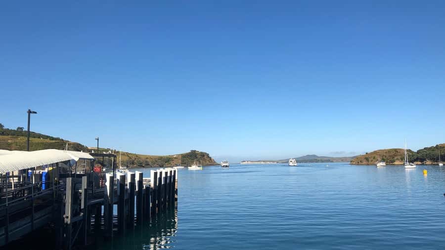 Waiheke Island Gourmet Food and Wine Tour with Platter Lunch - Meeting the guide at Matiatia Wharf