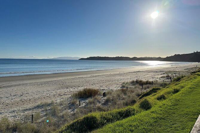 Waiheke Island Half Day Scenic Wine and Lunch - Oneroa offers a final taste of island life