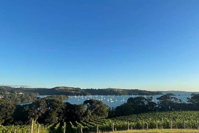 Waiheke Island Half Day Scenic Wine and Lunch - The guides are a major part of the value