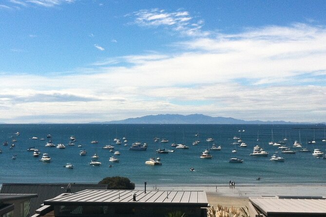 Waiheke Island Half Day Scenic Wine and Lunch - Who will enjoy this most