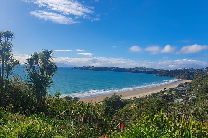 Waiheke Island Half Day Scenic Wine and Lunch - Mudbrick Vineyard starts the wine story