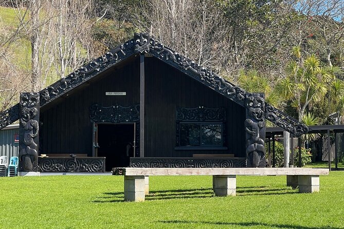 Waiheke Island History and Heritage Tour - A native bush walk with useful plant knowledge