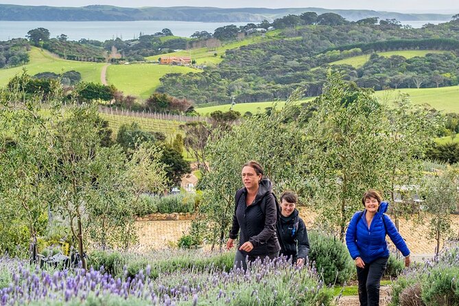 Waiheke Island History and Heritage Tour - What the $381.65 price really buys