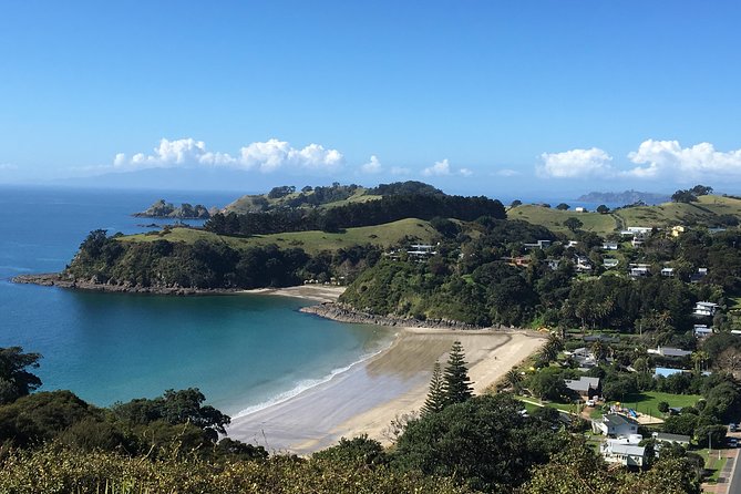 Waiheke Island Hop-On Hop-Off Explorer Bus - Value at $58.33 per person
