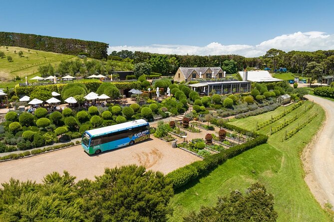 Waiheke Island Hop-On Hop-Off Explorer Bus - What the bus adds to a self-guided day