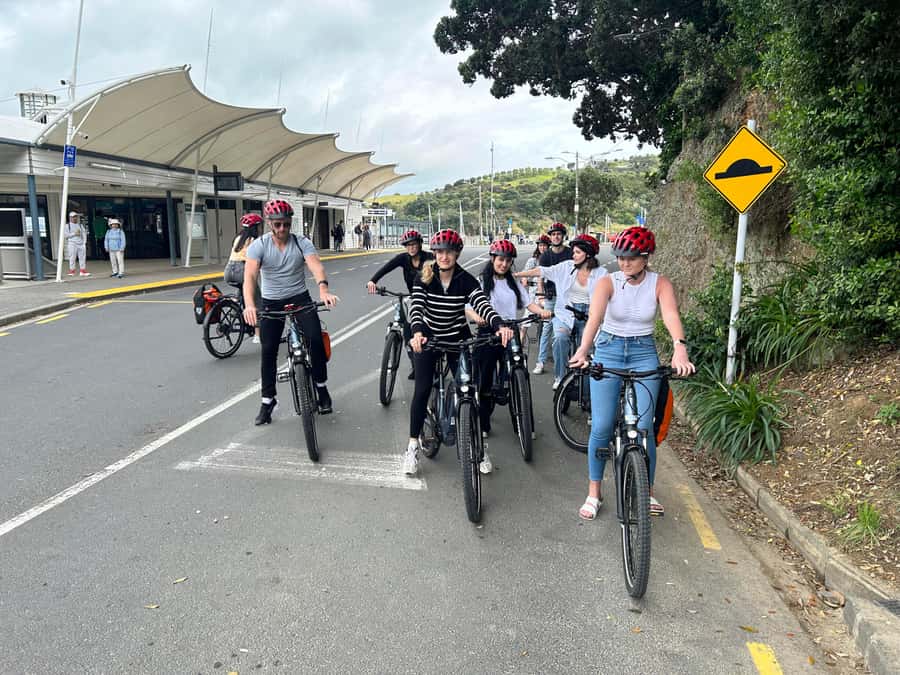 Waiheke Island: Premium eBike Adventure & Self-Guided Tour - Why an e-bike is the smart way to see Waiheke