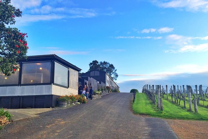 Waiheke Island Premium Wine Tour with Tastings - Key points to know before you book