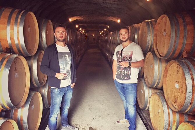 Waiheke Island Premium Wine Tour with Tastings - What the wine tastings are really like