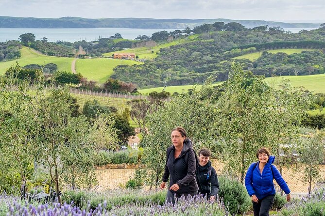 Waiheke Island Private History and Heritage Tour - Optional wine and olive oil tasting
