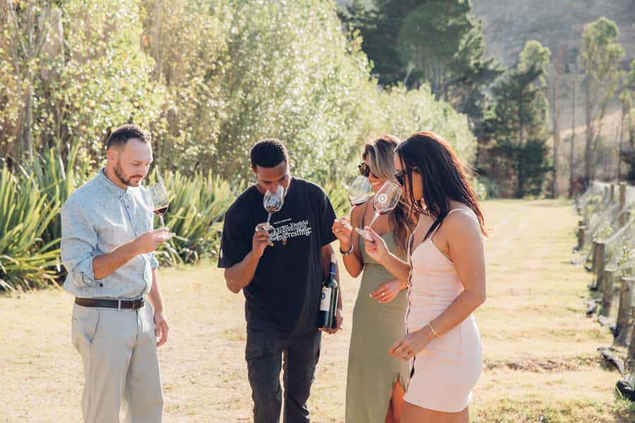 Waiheke Island: Scenic Island Wine Tour & Local Wine Tasting - Key points to know before booking