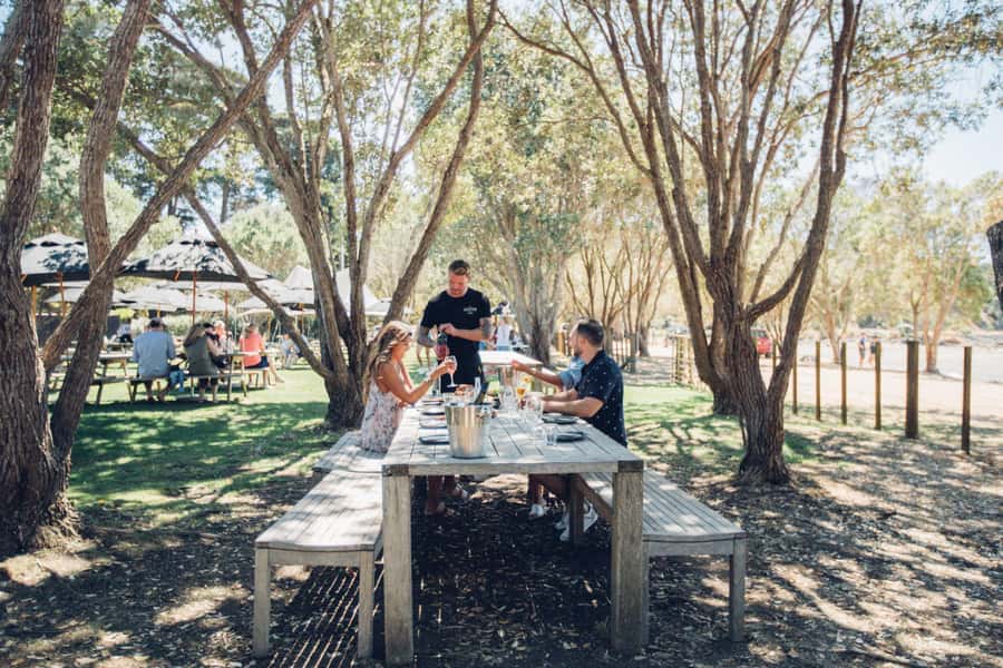 Waiheke Island: Scenic Island Wine Tour & Local Wine Tasting - Which option should you choose?