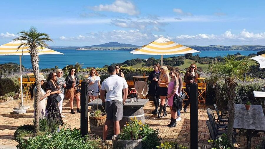 Waiheke Island: Scenic Island Wine Tour & Local Wine Tasting - Ferry planning and practical advice