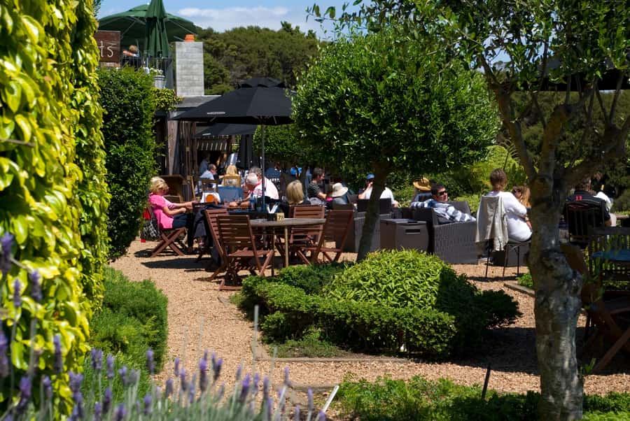 Waiheke Island: Scenic PREMIUM Wine Tour. Max 11 clients - Key points to know before you book