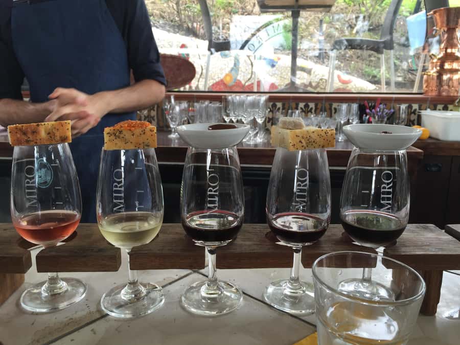 Waiheke Island: Scenic PREMIUM Wine Tour. Max 11 clients - Why a small Waiheke group changes the day