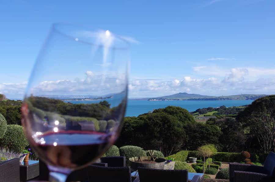 Waiheke Island: Scenic PREMIUM Wine Tour. Max 11 clients - Practical tips for a smoother day