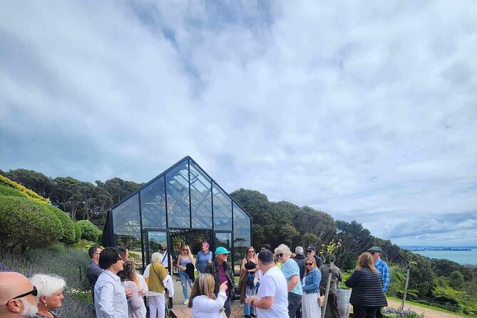 Waiheke Island: Taste&Graze Whisky Cellar Tour, Food, Olive Oil - Mudbrick Vineyard and the first harbor views