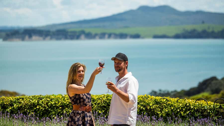 Waiheke Island: The Essence of Waiheke Wine Tour - Timing, Ferry Costs, and Overall Value