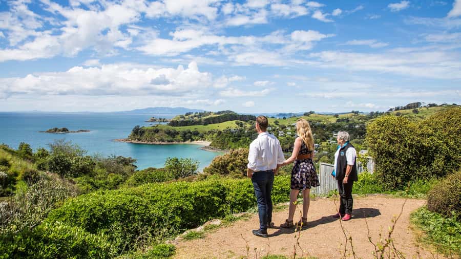 Waiheke Island: The Essence of Waiheke Wine Tour - Who Will Enjoy This Waiheke Wine Tour
