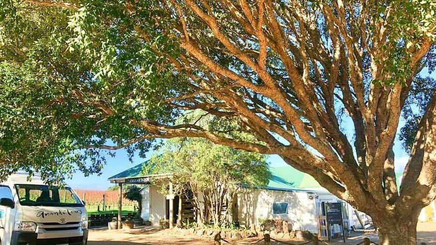 Waiheke Island: The Essence of Waiheke Wine Tour - Simple Ways to Get More From the Day
