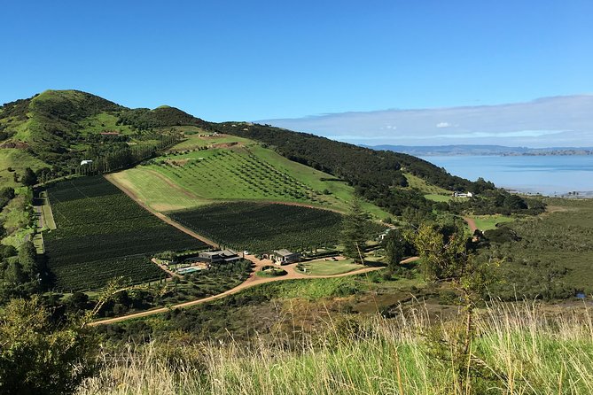 Waiheke Island Vineyards and Bush Walk - Key points to know before you book
