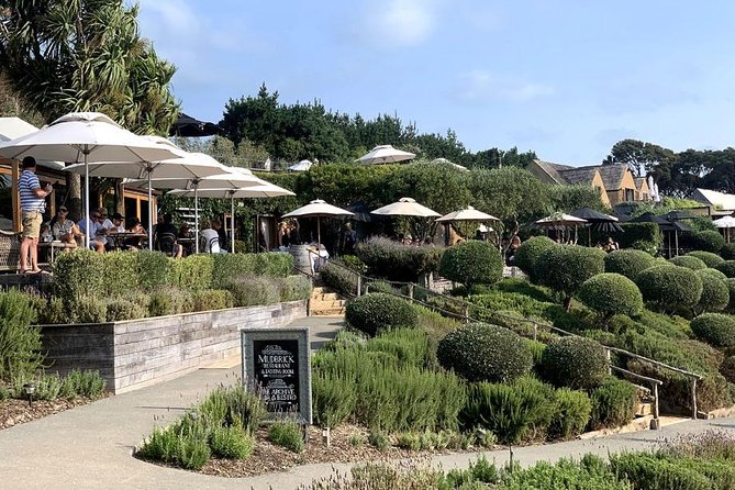 Waiheke Island Vineyards and Bush Walk - Through restored bush to the Hauraki Gulf views