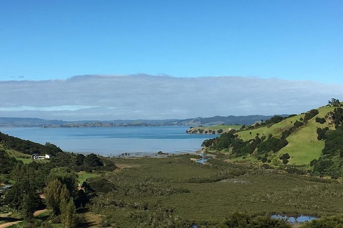 Waiheke Island Vineyards and Bush Walk - Vineyard country at Mudbrick or Cable Bay
