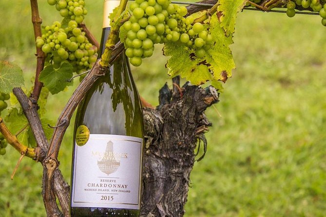 Waiheke Island Vineyards and Bush Walk - Weather, fitness, and who should choose this