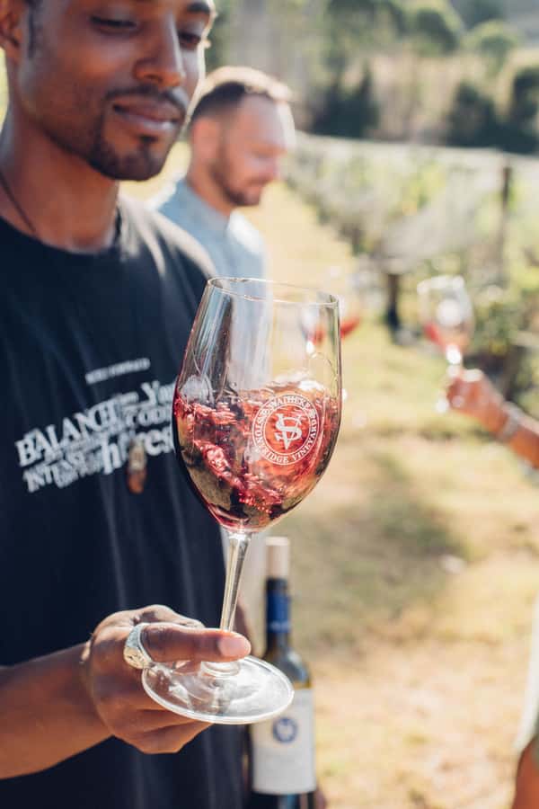 Waiheke Island: Wine Tour & Lunch at Award Winning Venue - Who should book this Waiheke wine tour?