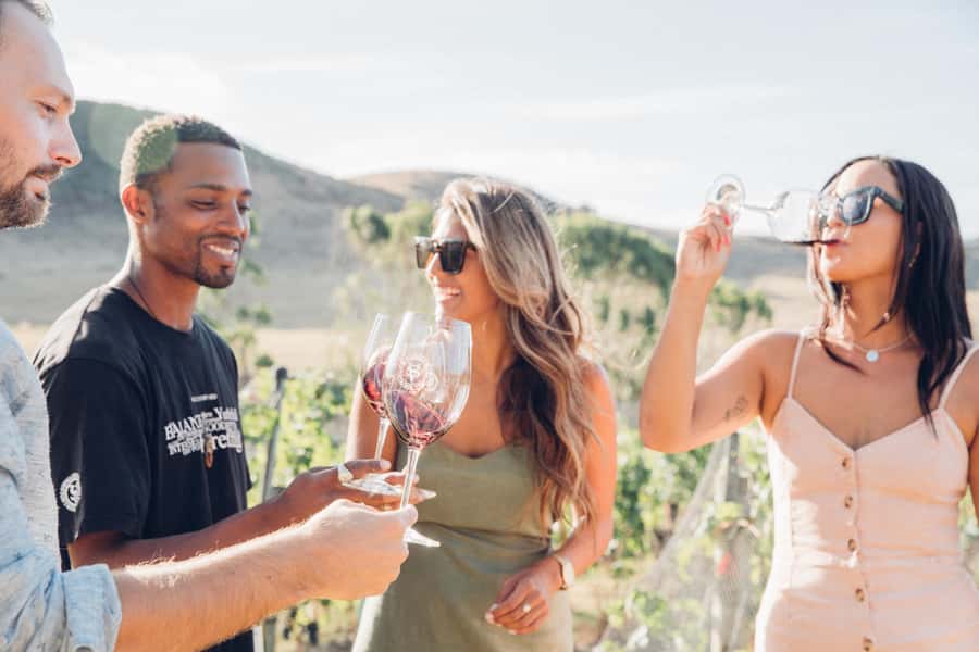 Waiheke Island: Wine Tour & Lunch at Award Winning Venue - Why Waiheke makes such a good wine day