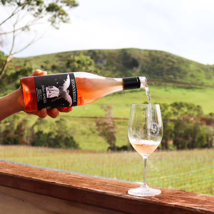 Waiheke Island: Wine Tour & Lunch at Award Winning Venue - Riding through Waiheke with a local guide