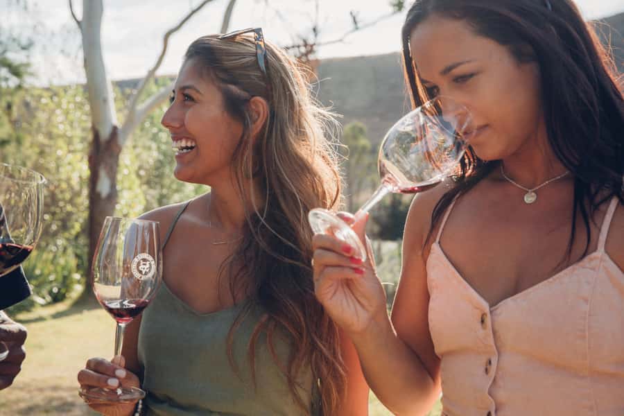 Waiheke Island: Wine Tour & Lunch at Award Winning Venue - Three vineyards in the Onetangi Valley