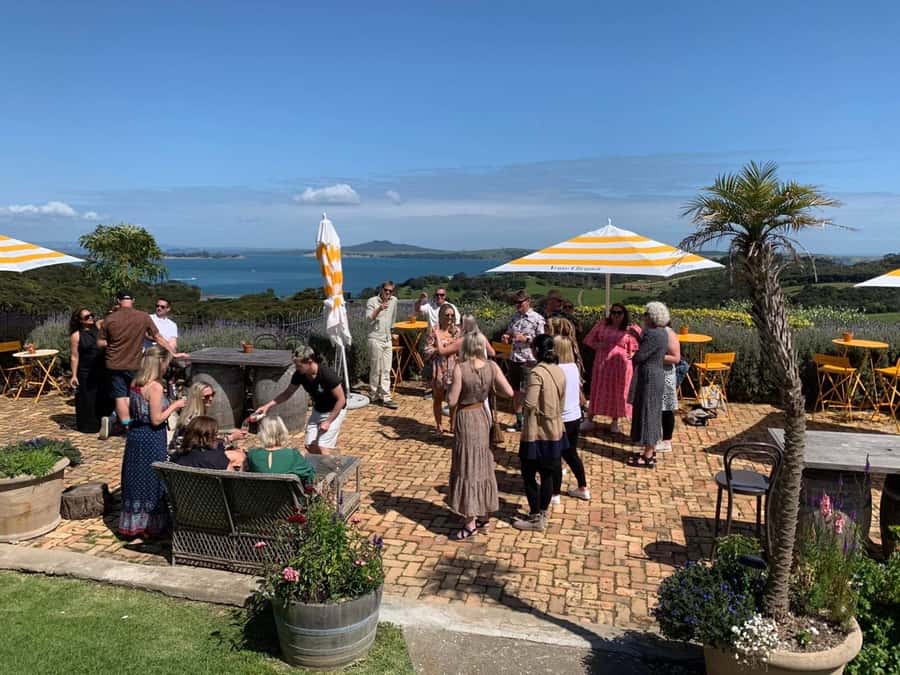 Waiheke Island: Wine Tour & Lunch at Award Winning Venue - Timing, group feel, and the return ferry
