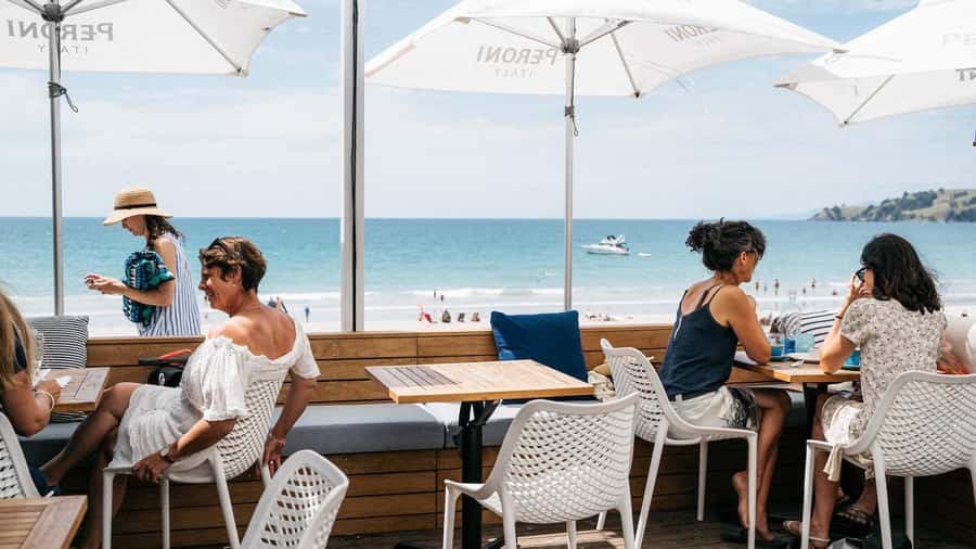 Waiheke Island: Wine Tour & Lunch at Award Winning Venue - Is $170 a fair price?