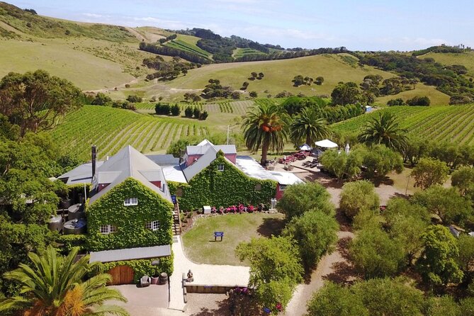 Waiheke Island Wine Tour with Tastings & Gourmet Beachfront Lunch - The guides make the road time count