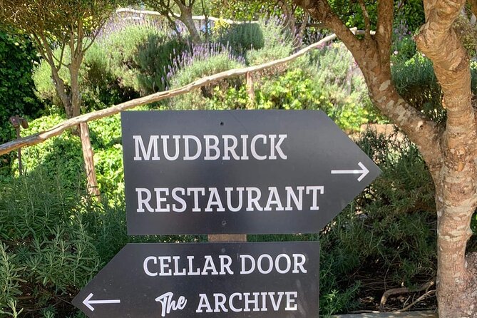 Waiheke Island Wine Tour with Tastings & Gourmet Beachfront Lunch - Timing, ferry planning, and practical details