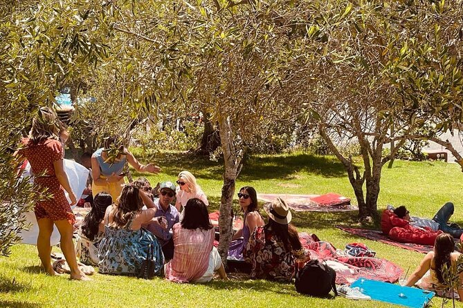 Waiheke Island Wine Tour with Tastings & Gourmet Beachfront Lunch - Three Seven Two brings the long lunch break