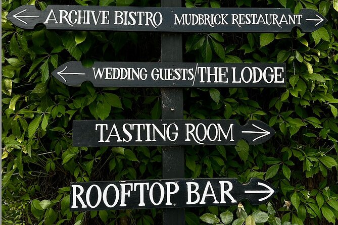 Waiheke island wine tours with Waitiki Tours - The scenery between the tasting rooms