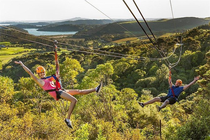 Waiheke Island: Zipline And Forest Walk - Three flights, with the difficulty increasing