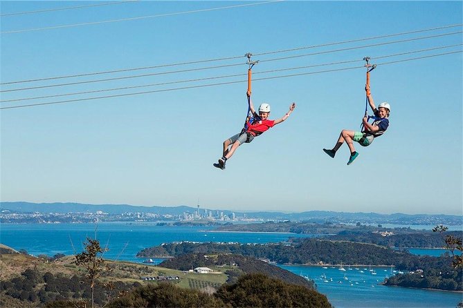 Waiheke Island: Zipline And Forest Walk - The forest walk is half the experience