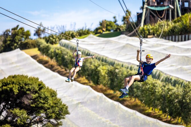 Waiheke Island: Zipline And Forest Walk - How personal is a group of 12?